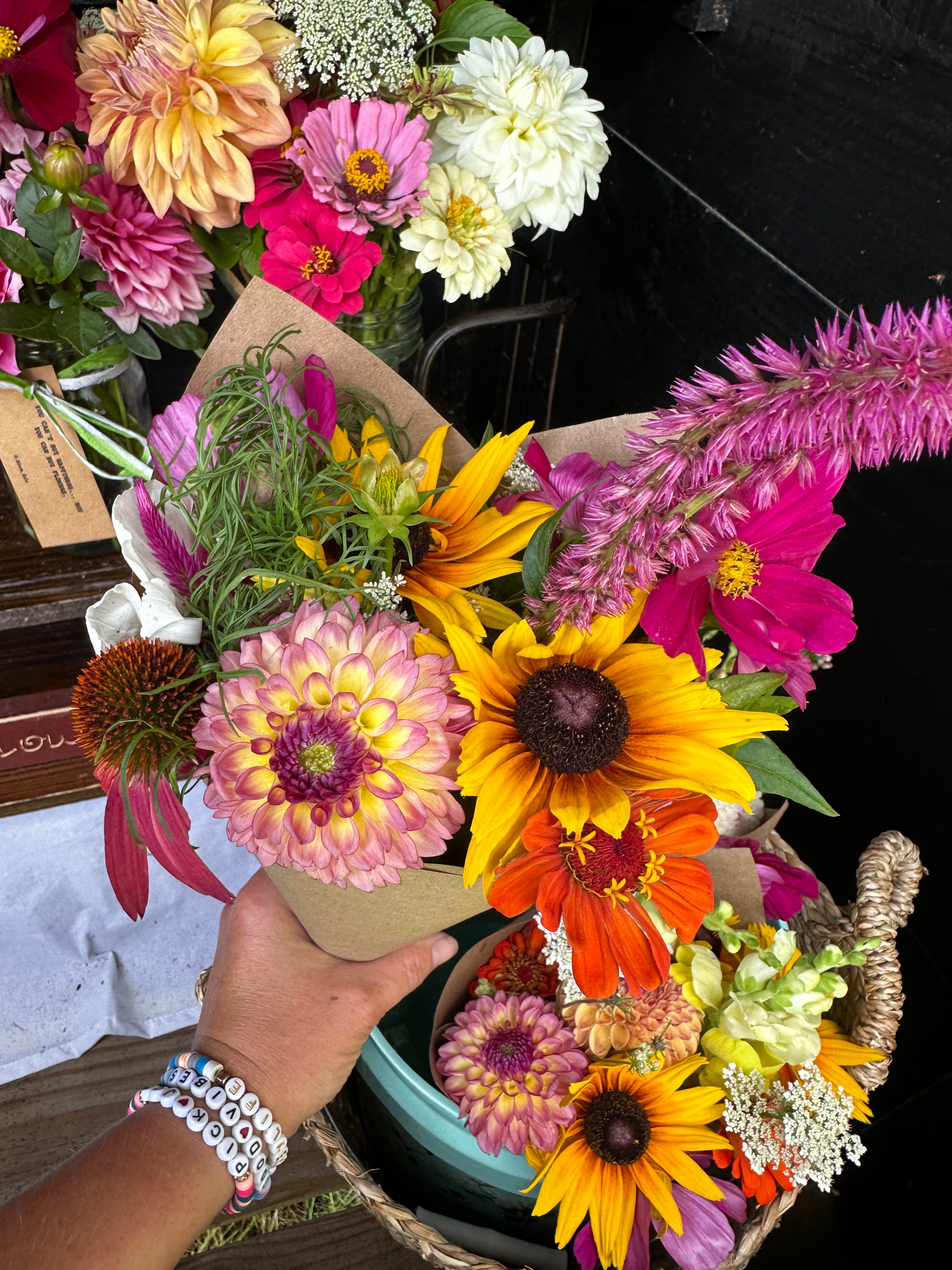 Foxy Lady Dahlia Tuber